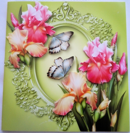 Gorgeous Blush Iris & Butterflies 8x8 by Sharon Wilson