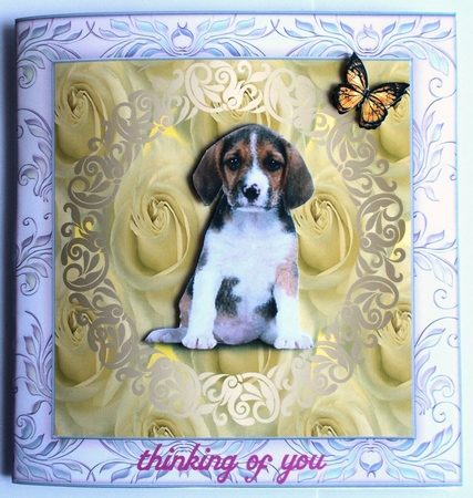 Rose Background Papers by Sharon Wilson