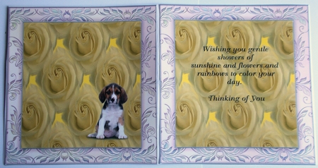 Rose Background Papers by Sharon Wilson