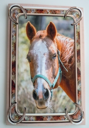 JJ LOVE MY HORSE A5 QUICK CARD 6 by Sharon Wilson
