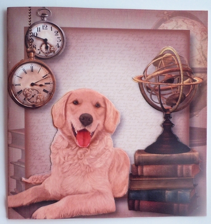 Male Themed Dogs - Golden Retriever 8x8 by Sharon Wilson