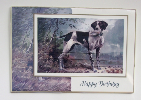 German Pointer (Vintage) Mini Kit by Sharon Wilson