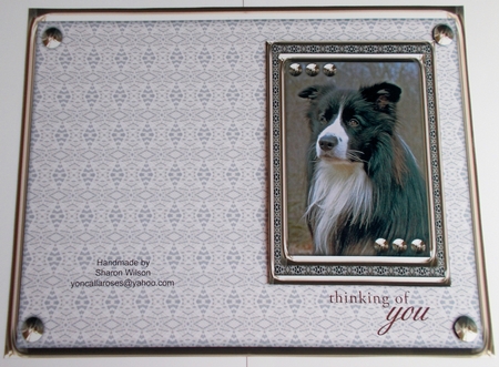 JJ LOVE MY DOG BORDER COLLIE 5X7 INSERT BLANK by Sharon Wilson