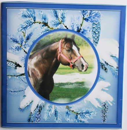 Snow Fern Card Frames or Inners 6 in pack - Set 2 by Sharon Wilson