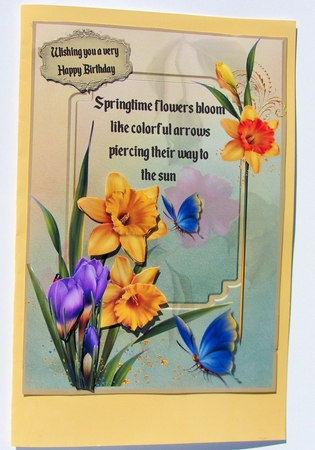Spring flowers by Sharon Wilson
