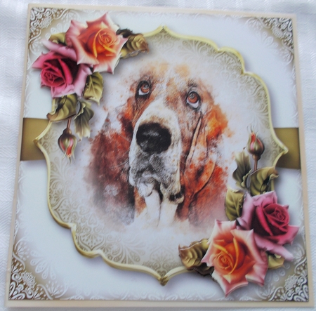 Gorgeous Basset Hound & Autumn Roses by Sharon Wilson