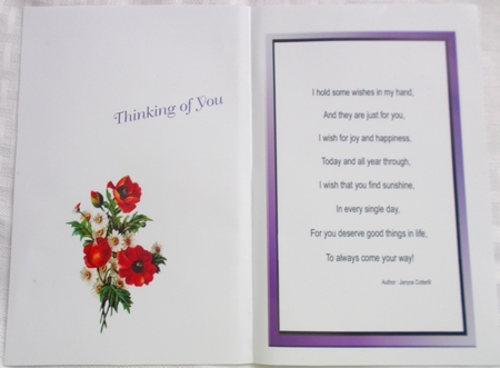 Insert For Poppies And Daisies On Musical Background by Sharon Wilson