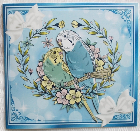 pretty budgies with white bows in  blue ornate frame 8x8 by Sharon Wilson