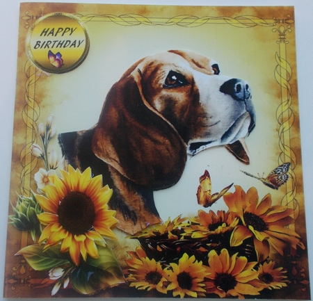 sunflowers and dog by Sharon Wilson