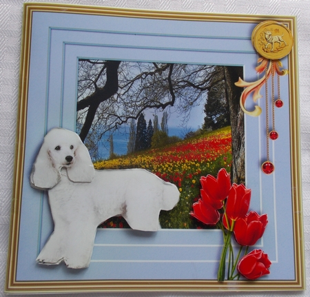 Stepping out Year of the Dog C by Sharon Wilson