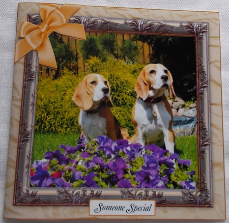 EMBOSSED MULTI SENTIMENT SHEET BEAGLES by Sharon Wilson