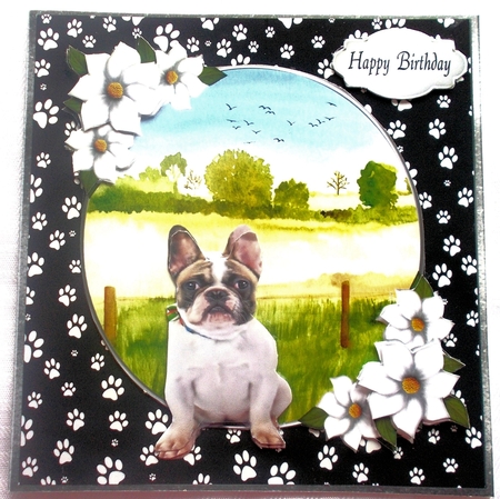 Dogs & Paws 1 by Sharon Wilson