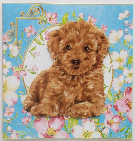 Happy Birthday Quick card collection by Sharon Wilson