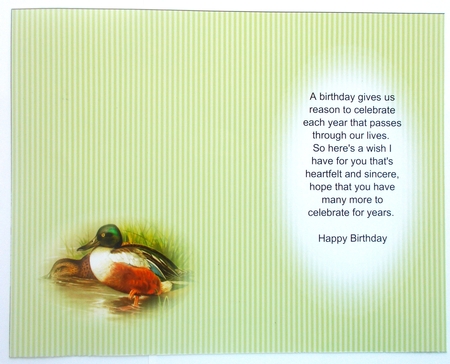 Shoveler duck sportsman birds outdoors fathers day birthday card for men insert by Sharon Wilson