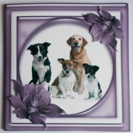 Square Frames - Flower Edged Glass Frames Set 2 by Sharon Wilson