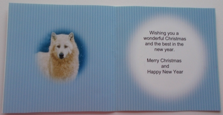 Snow Scene 8 Arctic Wolf wildlife scenic animals Christmas card Quick card full insert by Sharon Wilson