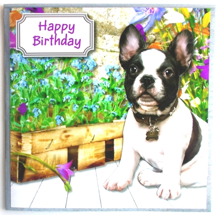 Love me, love my dog by Sharon Wilson