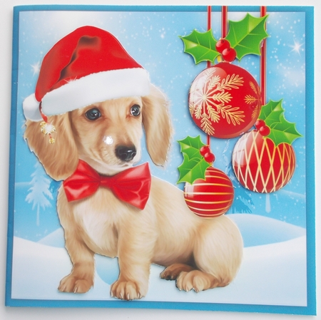 Gorgeous Dachshund Christmas Puppy 8x8 by Sharon Wilson