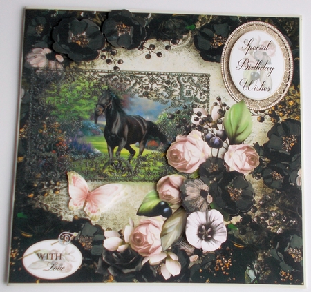 Black Beauty by Sharon Wilson