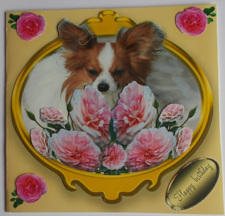 smell the roses by Sharon Wilson