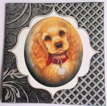 Dog with Red Collar  7 x 7 in by Sharon Wilson