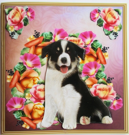 Happy Birthday From The Dog Mini Kit by Sharon Wilson