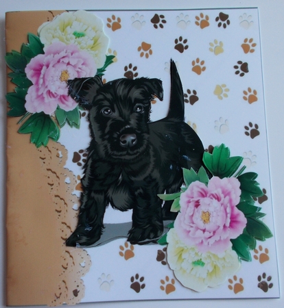 cute scottie puppy with pink/white peonies 7x7 by Sharon Wilson