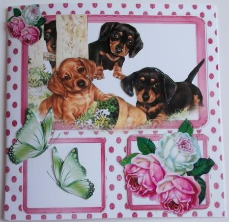 Puppies playing with pink/white roses & butterflies window card front 8x8 by Sharon Wilson