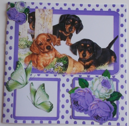 Puppies playing with purple roses & butterflies window card front 8x8 by Sharon Wilson
