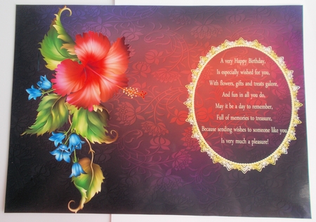 Verse Inserts Bumper Kit by Sharon Wilson