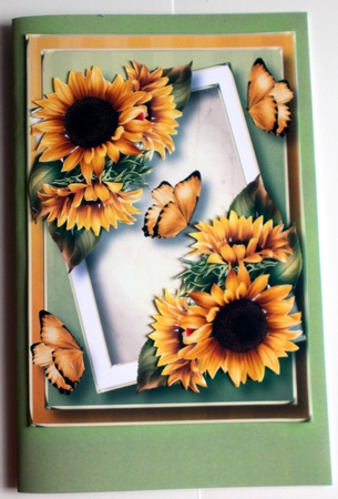 The Angled Frame - Sunflowers A5 by Sharon Wilson