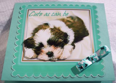 	as Cute as Can Be Puppy in Turq Frame by Sharon Wilson