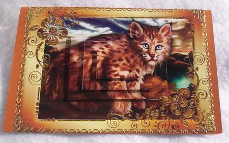 Bob Cat Card Front with Pyramage by Sharon Wilson