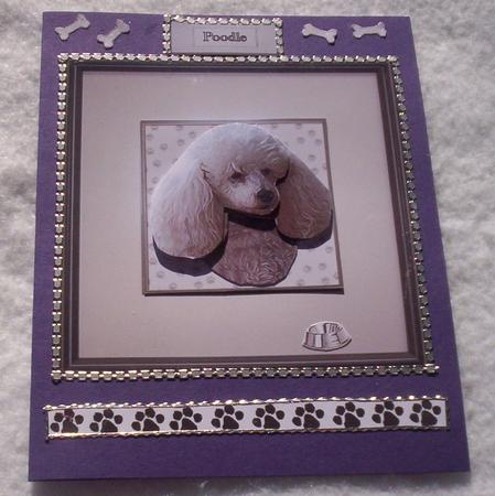 Poodle (toy) Portrait 3D Decoupage by Sharon Wilson
