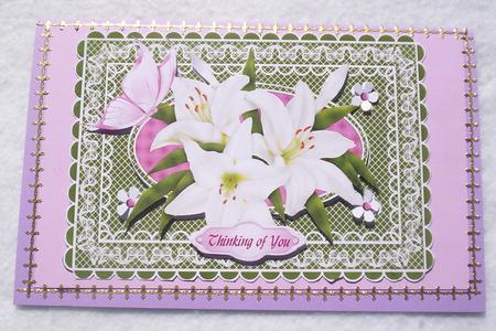Lillie's and Butterfly A4 by Sharon Wilson