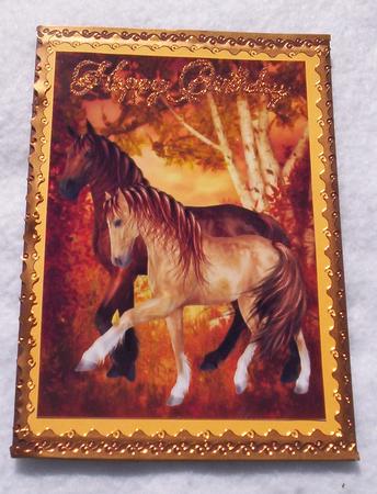 A4 Beautiful Wild Horses by Sharon Wilson