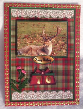 Stag on Tartan Paper A4 by Sharon Wilson