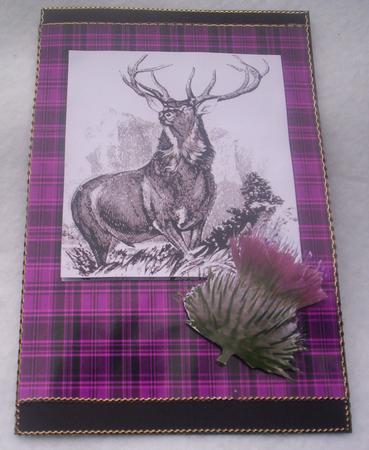 The Scottish Stag by Sharon Wilson