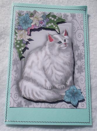 Beautiful White Persian Cat in Flower Frame A4 by Sharon Wilson
