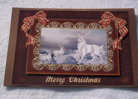 White Stags at Christmas by Sharon Wilson