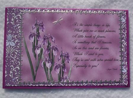 Purple Iris by Sharon Wilson