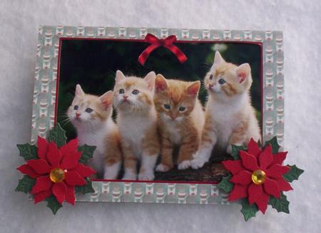 Mice in a Cup Insert by Sharon Wilson