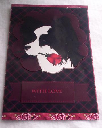 Papillon Carrying Rose Tartan Card by Sharon Wilson