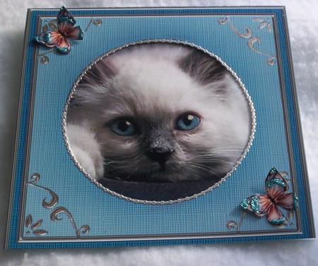 Square 'silver Metallic Frame' Card Front or Insert by Sharon Wilson