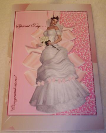 A4 the Bride in Pink by Sharon Wilson