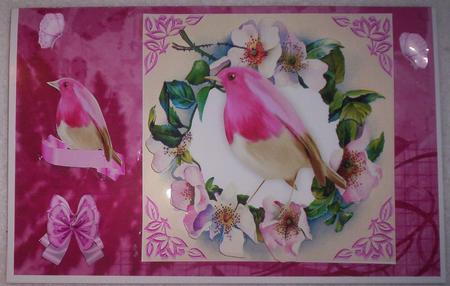 Flower Frame with Butterflies and Robin by Sharon Wilson