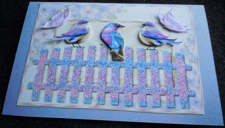 Pretty Song Birds with Butterflies in Floral Frame A4 by Sharon Wilson