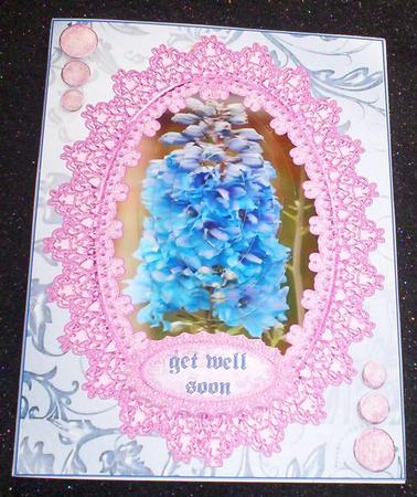 Delphinium for Sympathy or Get Well or Birthday by Sharon Wilson