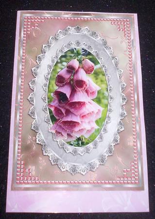 Foxgloves in Lace & Pearls by Sharon Wilson