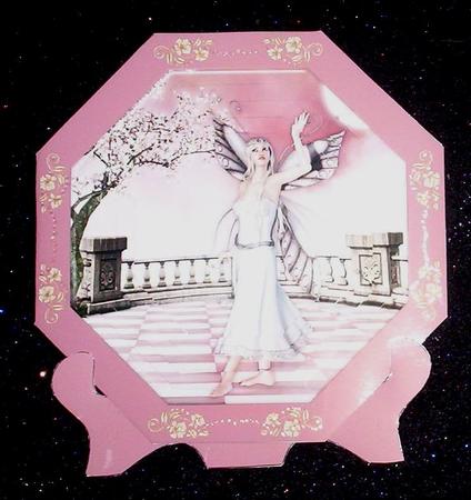 Pink Fairy Octagonal Mini Kit by Sharon Wilson